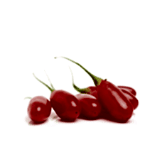 2 Yaş Goji Berry Fidanı (Kurt Üzümü)