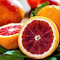 3 Yaş Aşılı Kan Portakalı Fidanı