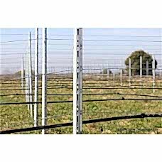 Ara Direk ( P5M Profil Alsace) 250cm