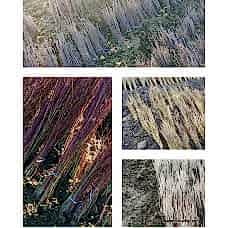 Çöğür ( Ceviz) x100lü