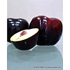 Angeleno ( Japon) Erik Fidanı