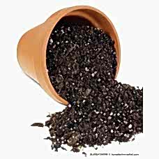 İthal Torf (Asidik) 55lt