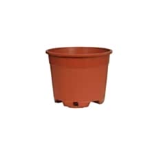 Bodur Yuvarlak Üretim Saksı 5 Lt
