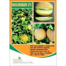 Kavun Tohumu BOLVEREN F1 “ANANAS”
