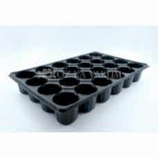 28 Göz Yuvarlak Fidelik
