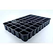 45 Göz Kare Fidelik
